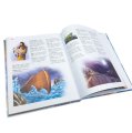 Ilustrowana Biblia dla dzieci - pamiątka z grawerem