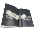 Moje Pierwsze 5 lat z grawerem - Anne Geddes