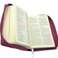 Biblia Tabor ST i NT - zapinana