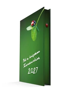 Rok z księdzem Twardowskim 2027 - biedronka