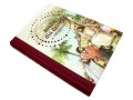 Biblia dla dzieci w 100 historiach + GRAWER
