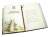 Biblia dla dzieci w 100 historiach + GRAWER
