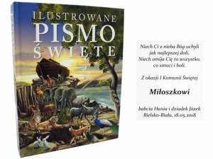 Ilustrowane Pismo Święte w4 GRAWER