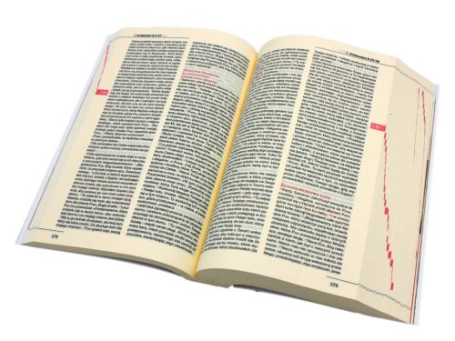Biblia ST i NT - rybka