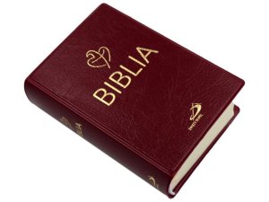 Biblia ST NT mały format, bordowa